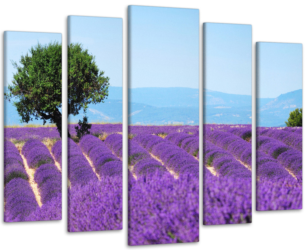 Модульна картина Полі лаванди Art-40_5 Київ - фото 1