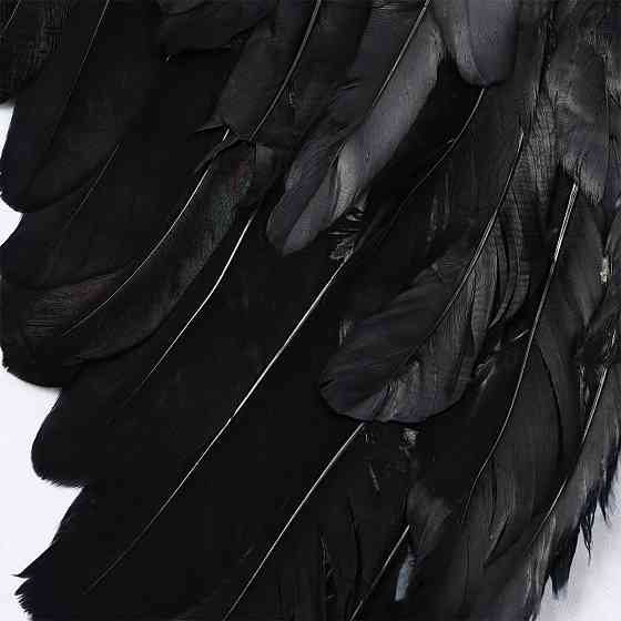Крила Ангела 45х30см,MA26-189,Чорні SBR Київ