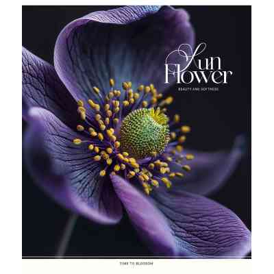 Зошит Школярик Sun Flower 48 аркушів клітинка (048-3456K) Вінниця