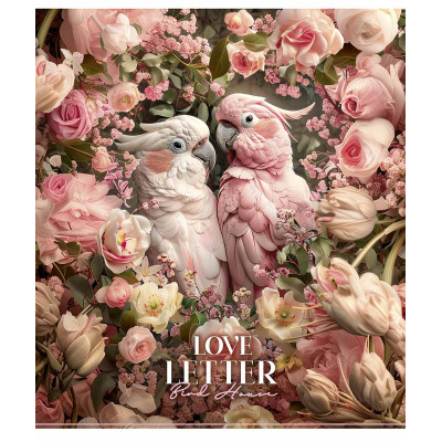 Зошит Школярик Bird house 60 аркушів клітинка (060-3478K) Вінниця - фото 1