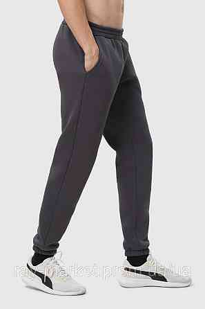 Штани чоловічі утеплені темно-сірі RAY BASIC U0901 (U0901M-Dark Grey) L Київ
