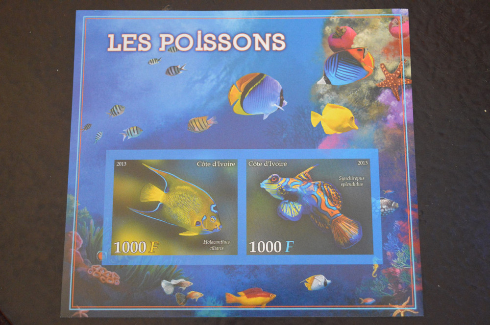 Кот-д’Ивуар. Фауна. Блок. 2015 год (В-6) Полтава - изображение 1