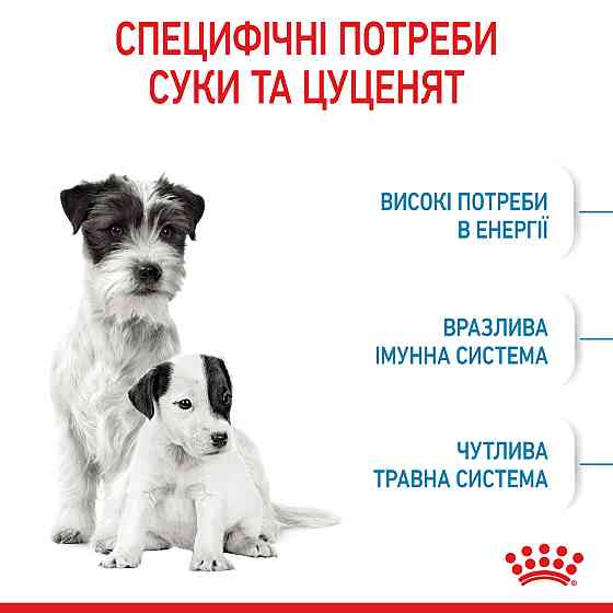 Корм для новорожденных собак ROYAL CANIN MINI STARTER 8 кг Киев