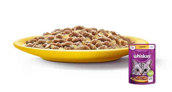 Вологий корм Whiskas (Віскас) з куркою в желе для дорослих котів 85 г Вінниця