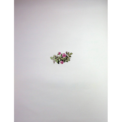 Книга Велика книга про фей і принцес - Пітер Холейнон Vivat (9786171704756) Вінниця - фото 11