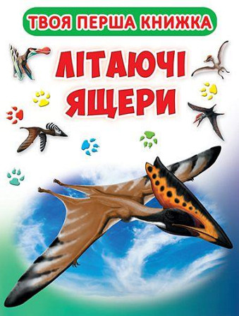 Книга "Книга-картонка А-4 "Твоя перша книга. Літаючі ящери (код 416-6)" (укр.)" , шт Київ - фото 1