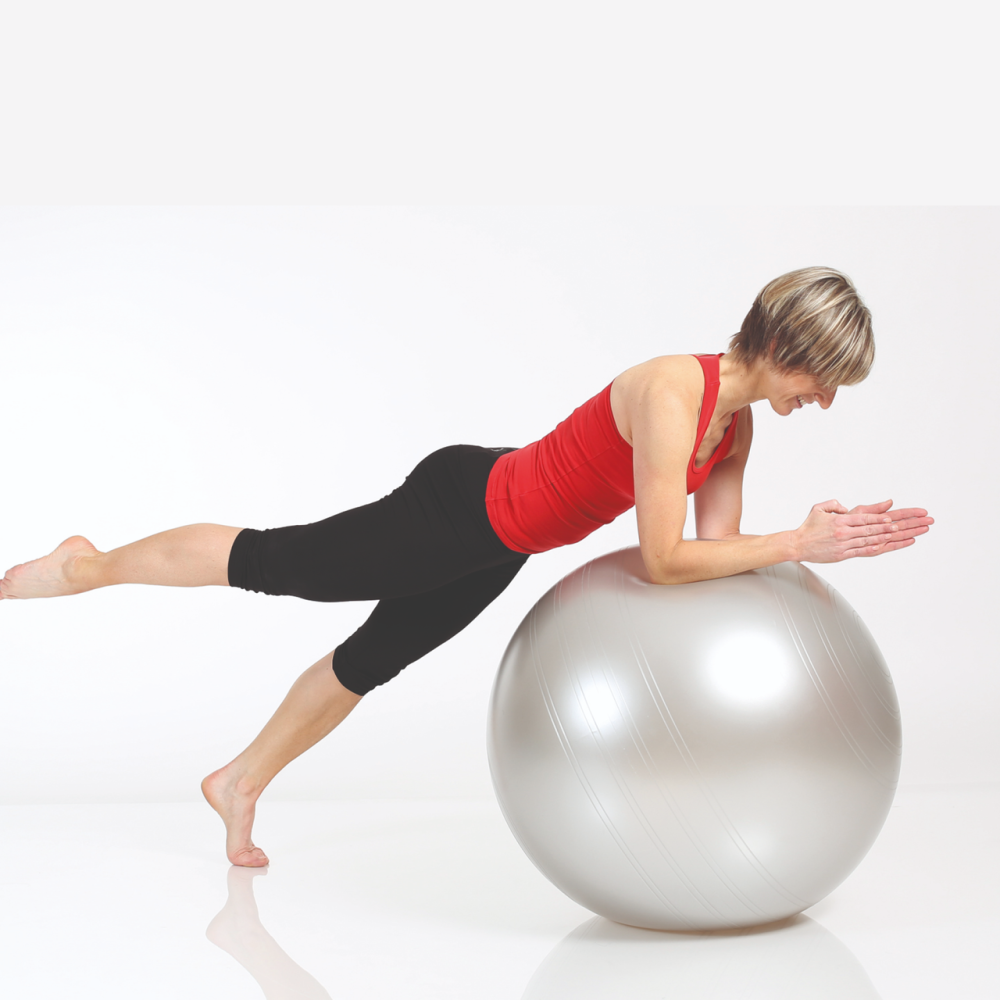 Мяч гимнастический TOGU Powerball ABS - 75 см (серебристый) Днепр - изображение 5