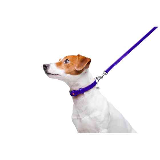 Повідець для собак шкіряний WAUDOG Glamour, Ш 12 мм, Дов 122 см фіолетовий Коломия