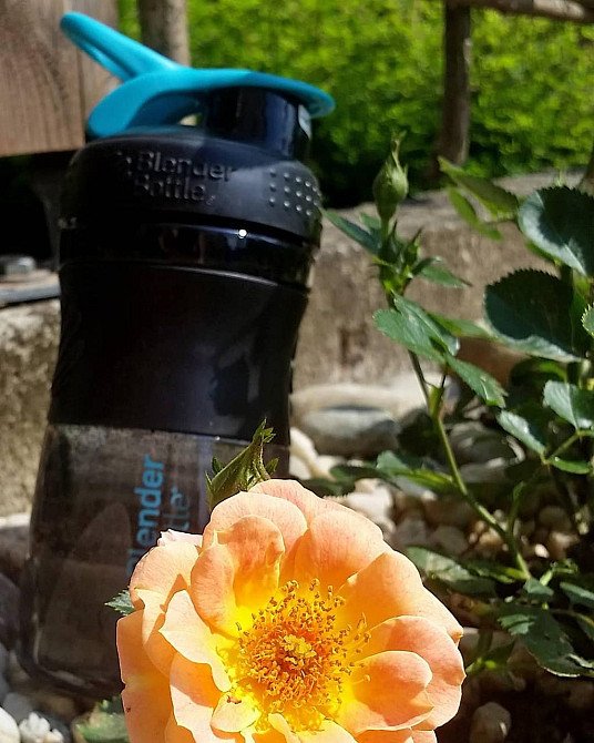 Шейкер спортивний (пляшка) BlenderBottle SportMixer Flip 20oz/590ml Black/Teal Київ - фото 7