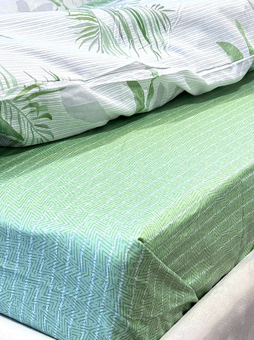 Ecotton Комплект постільної білизни Ecotton Євро 210х220 см Папороть зелена (21006АВ) Коломия - фото 5