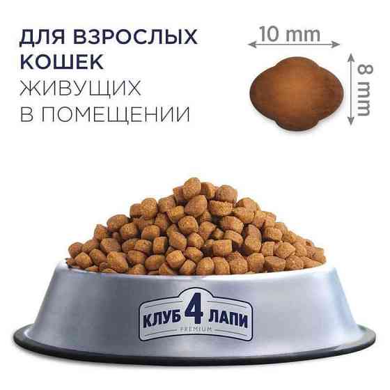 Club 4 Paws (Полуб 4 Лапи) Premium Indoor 4 in 1 Adult Cat Chicken корм із куркою для котів, що живуть у приміщенні Запоріжжя
