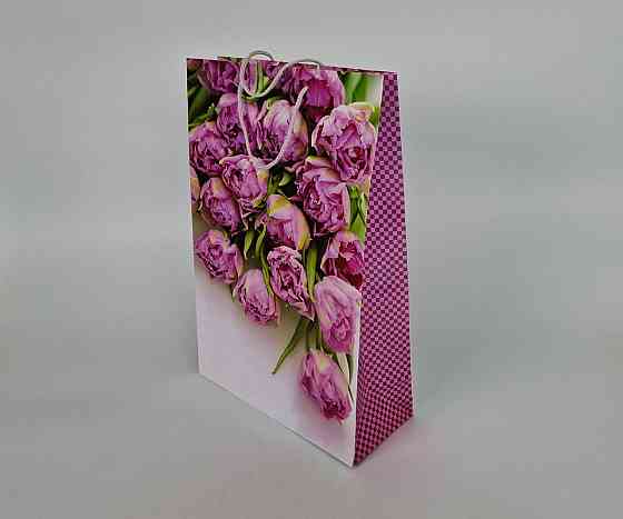 Гіганти вертикальні (30х42х12) (артGV-004) (12 шт.) Харків