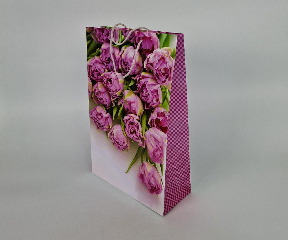 Гиганты вертикальные(30х42х12)(артGV-004) (12 шт) Харьков - изображение 1