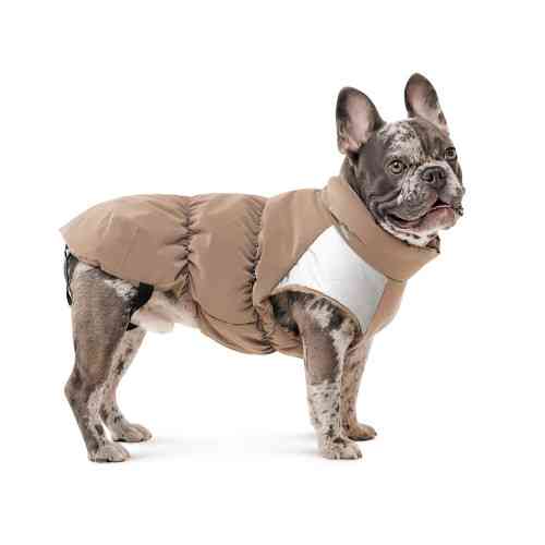 Жилет Chip для собак такса M Киев