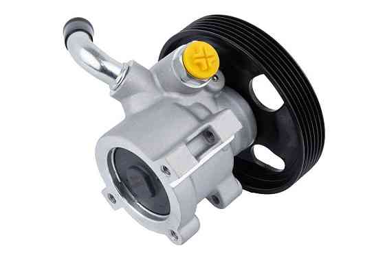 Насос ГПК (126mm) Raiso (Швеція) Peugeot 207, Пежо 207 06 - #RG0168 UAJYHJC22 Ковель