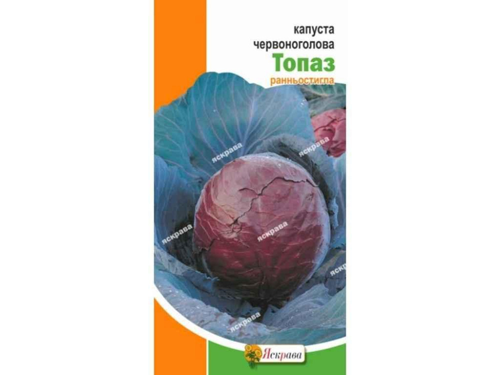 Капуста червоноголова Топаз (20 пачок) 0,5г ТМ ЯСКРАВА Київ - фото 1