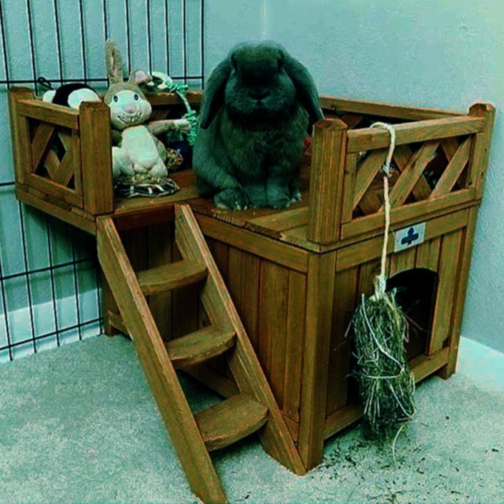 Домик для кроликов 