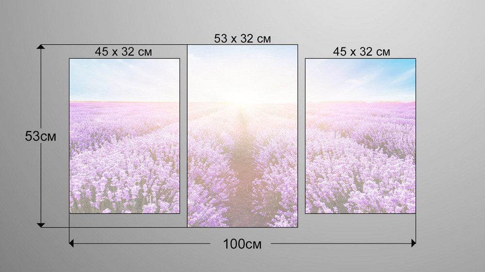 Модульна картина Полі Лаванди Art-184_3 Київ - фото 3