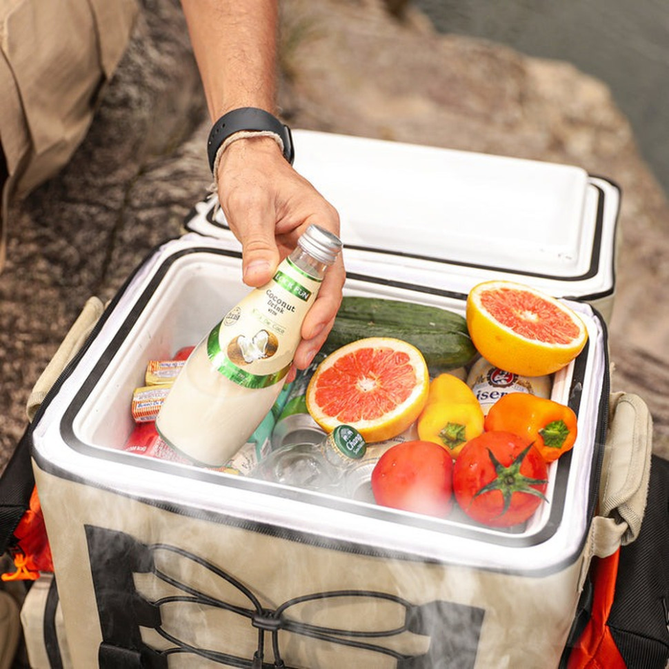 Акумуляторний холодильник-рюкзак Litheli 16л, живлення від павербанку (УМБ Litheli Power Bank 20000 mAh, 45 W в комплекті) Київ - фото 6