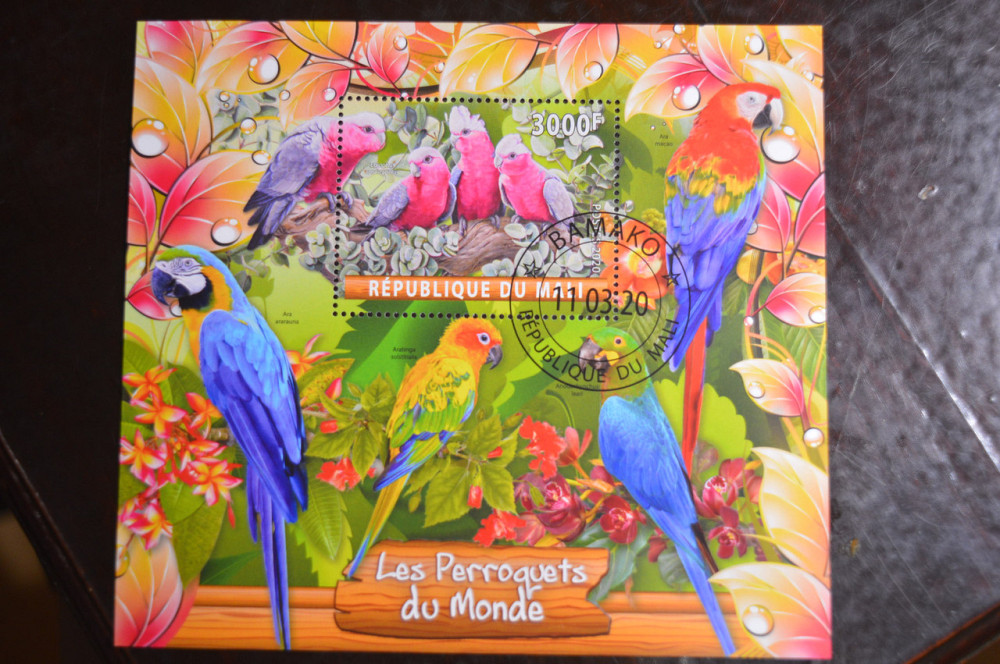 Малі. Марки. Фауна. Блок. 2020 рік (В-1) Полтава - фото 1