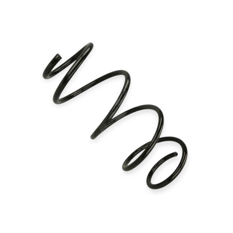 Пружина Renault Laguna II 1.6-2.0i (01-07) передняя Мукачево - изображение 1