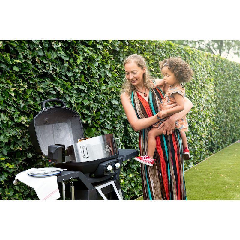 Вертиль для портативных грилей Napoleon серы TravelQ 69282 Код: 010097 Ровно - изображение 2