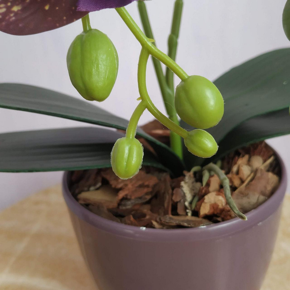 Штучна латексна міні орхідея в бордовому пластиковому кашпо на дві гілки бордова Дніпро - фото 5