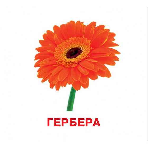 Розвиваючі картки для дітей Квіти J012y, 18 картинок Вінниця