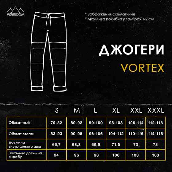 Мужские темно-серые джоггеры весенние с карманами Pobedov Vortex Киев