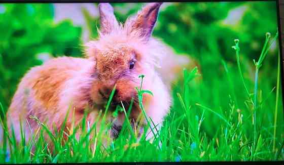 Телевизор Sony 65