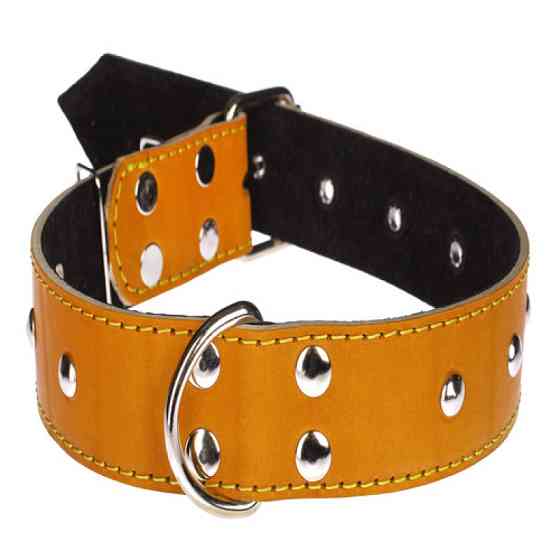 Нашийник 617 40 мм "Класик" шкіряний подвійний прикрашений Вінниця