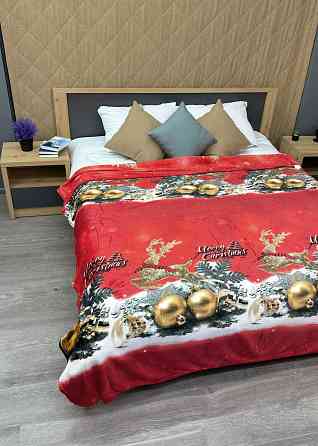 Плед-покрывало 200х230 см с рождественским принтом Разноцветный (87-325) Киев