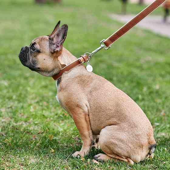 Нашийник для собак шкіряний WAUDOG Soft з QR паспортом, Ш 15 мм, Дов 27-36 см коричневий Коломыя