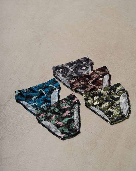 Підліткові труси на хлопчика — Динозаври (5 шт. в уп) Nicoletta 41717 10-11 Київ - фото 1