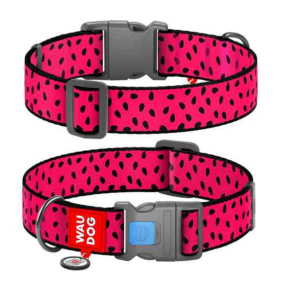 Нашийник для собак нейлоновий WAUDOG Nylon з QR-паспортом, малюнок "Арбуз", пластиковий фастекс, XXL, Ш 35 мм, Вінниця