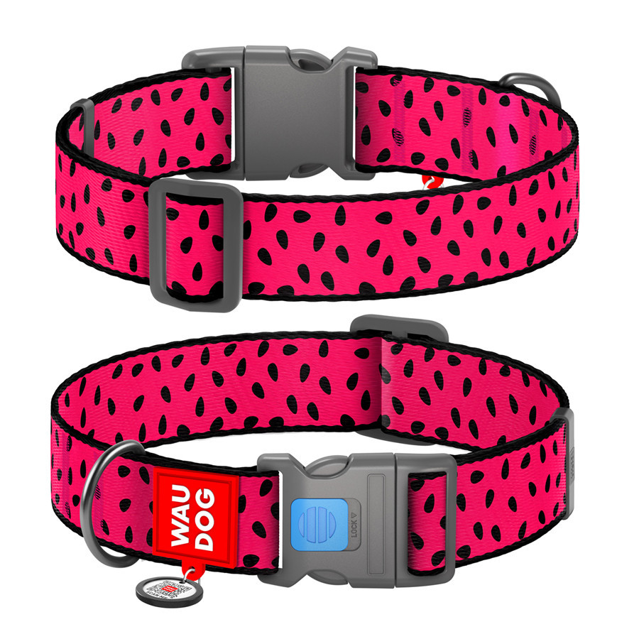 Ошейник для собак нейлоновый WAUDOG Nylon c QR паспортом, рисунок 