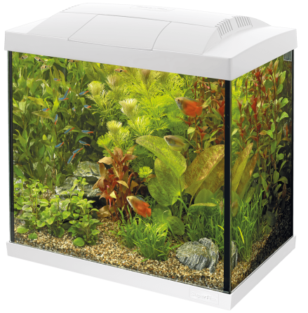 Акваріумний стартовий набір SuperFish Start 50 Aquarium Kit White (A4050279) Київ