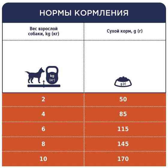 Club 4 Paws (Полуб 4 Лапи) Premium Adult Small Breed Lamb сухий корм з ягням для собак малих порід Запоріжжя