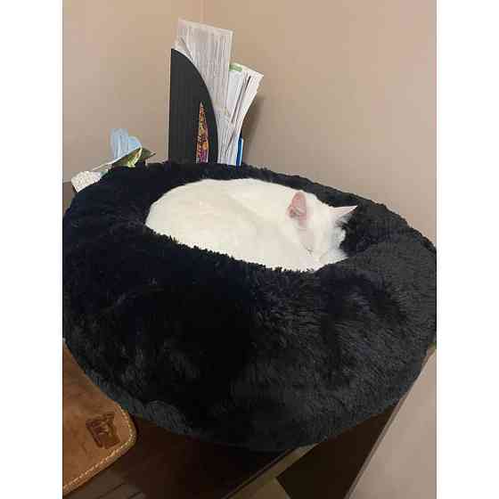 Лежанка для кошек и собак «Ворс» 3XL (100см), Чорний Киев