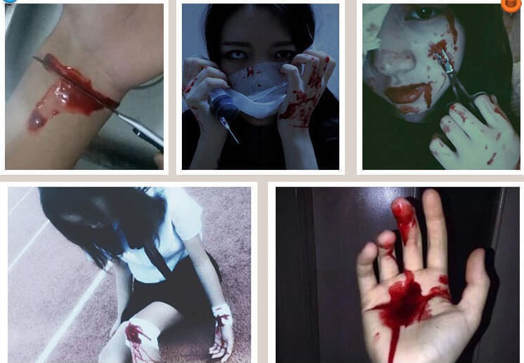 Кров штучна венозна темна 150 мл червоний Київ - фото 5