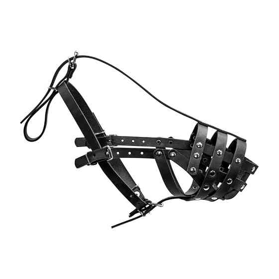 Намордник твердий "CoLLaR" (доберман, вівчарка мала, далматин, сеттер малий) чорний Коломия