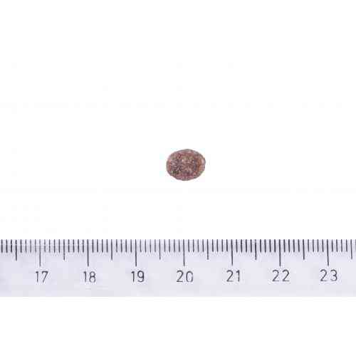 Корм сухой Brit Care Dog Sustainable Adult Small Breed для собак малых пород с курицей и насекомыми 3 кг Киев