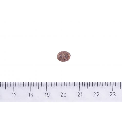 Корм сухий Brit Care Dog Sustainable Adult Small Breed для собак малих порід з куркою та комахами 3 кг Київ - фото 5