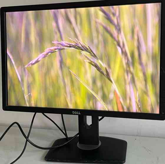 Монитор: DELL - 24