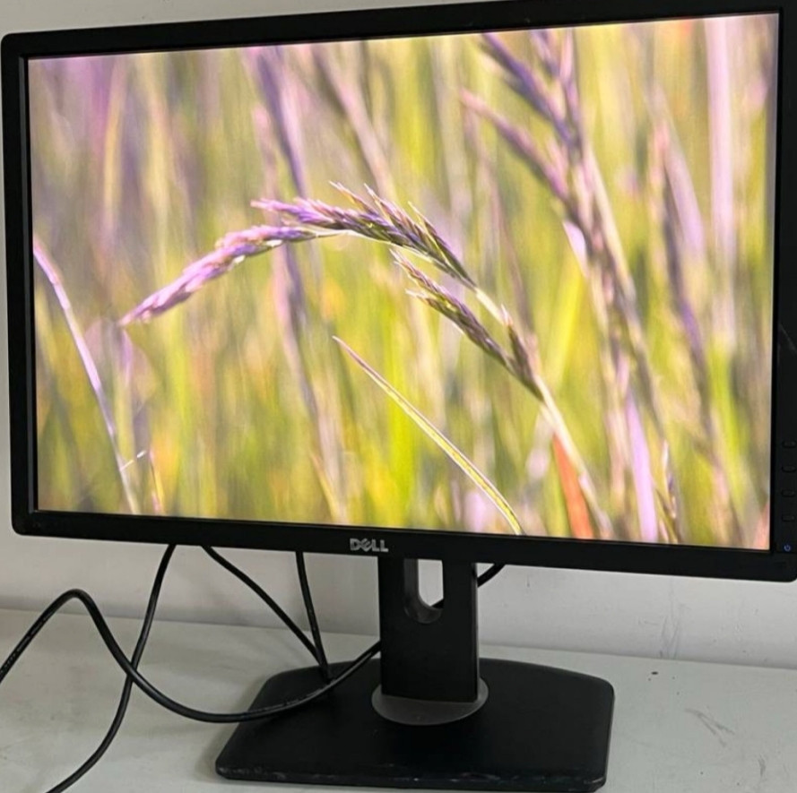 Монитор: DELL - 24