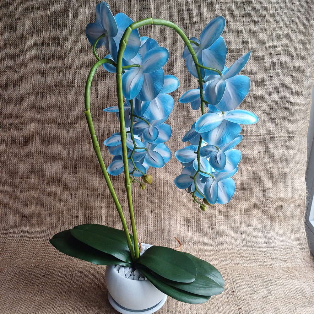 Штучна латексна орхідея VIP у білому керамічному кашпо на дві гілки блакитна Дніпро - фото 4