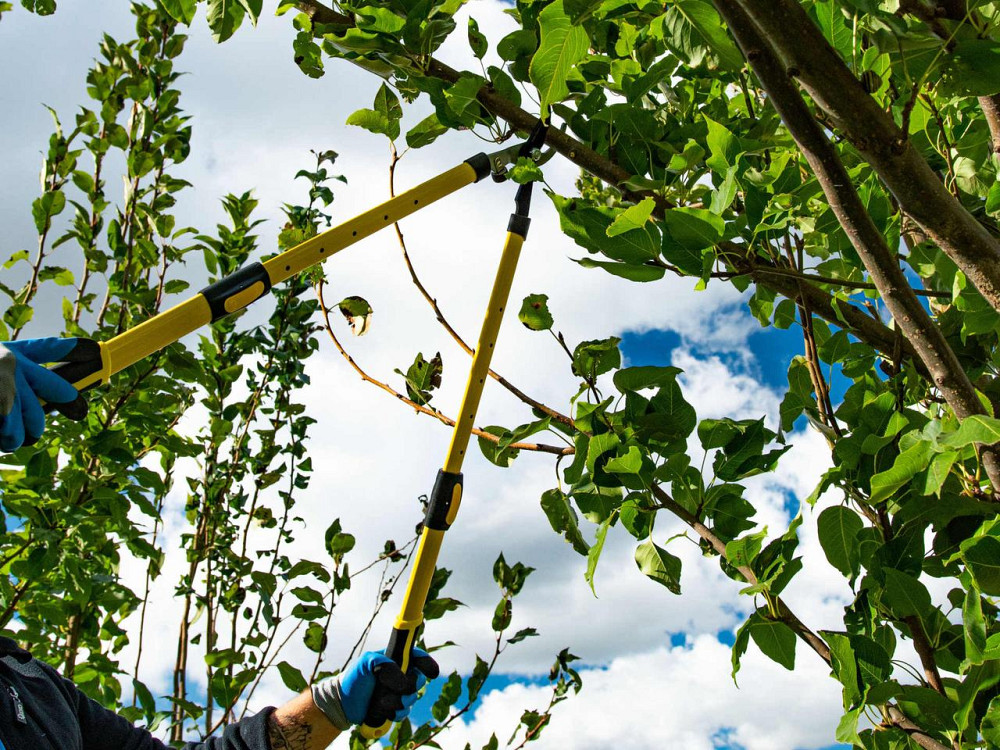Гілкоріз "John Gardener" тип лез ножицевий, телескопічні ручки, для гілок до 35мм Київ - фото 9