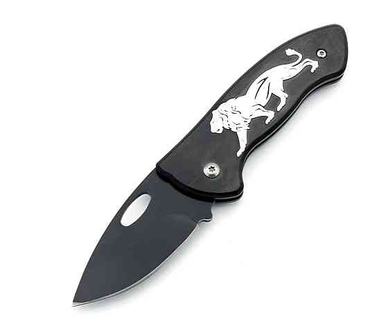 Ніж складаний Hongjiegangli "Leo" Дніпро