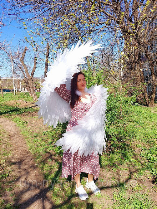 Крылья Ангела взрослые гибкие подвижные Кривой Рог - изображение 4