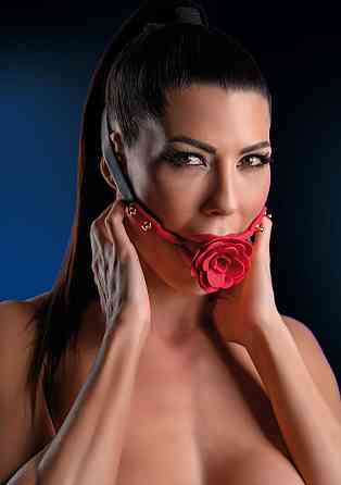 Кляп з декоративною трояндою Taboom Wild Roses Ball Gag чорний-червоний Sex Aura Київ
